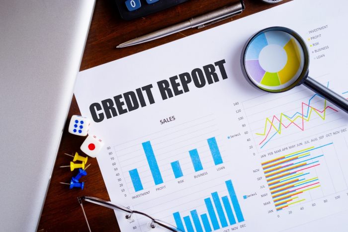 Ins And Outs Of Credit Report
